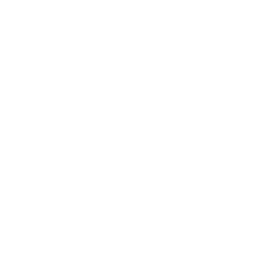 In Visual Logo